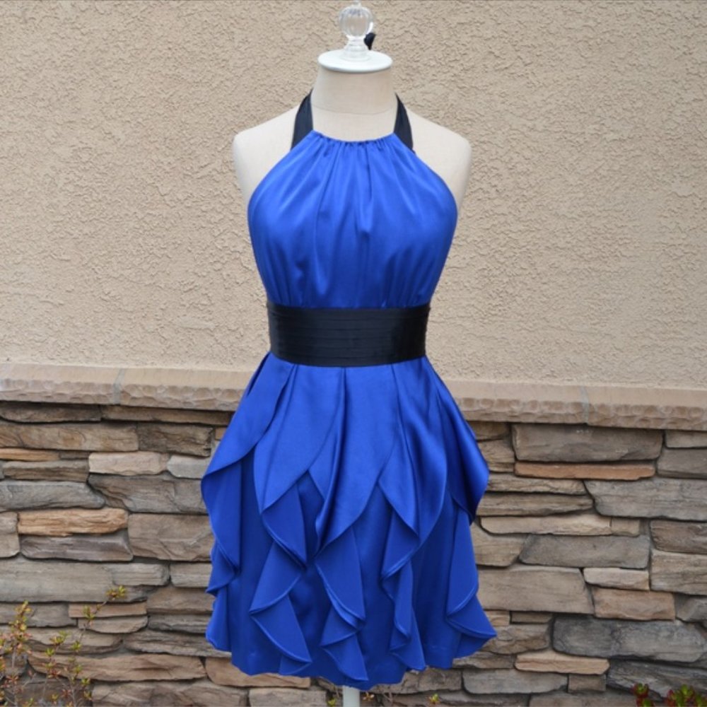 BCBG MAXAZRIA Layla Dress Blue sapphire dress EUC